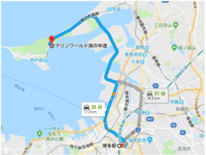 海の中道イルミネーション車アクセス方法